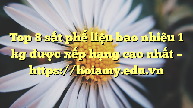 Top 8 Sắt Phế Liệu Bao Nhiêu 1 Kg Được Xếp Hạng Cao Nhất – Https://Hoiamy.edu.vn