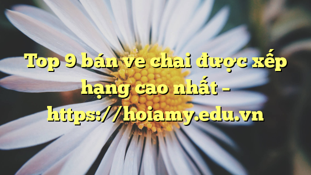 Top 9 Bán Ve Chai Được Xếp Hạng Cao Nhất – Https://Hoiamy.edu.vn