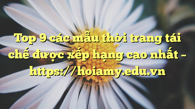 Top 9 Các Mẫu Thời Trang Tái Chế Được Xếp Hạng Cao Nhất – Https://Hoiamy.edu.vn