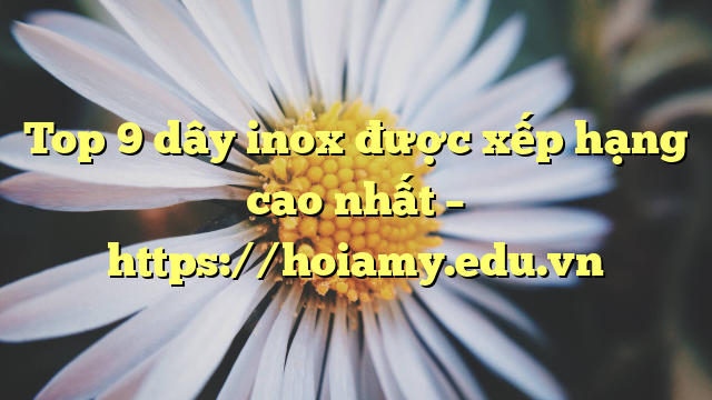 Top 9 Dây Inox Được Xếp Hạng Cao Nhất – Https://Hoiamy.edu.vn