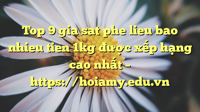 Top 9 Gia Sat Phe Lieu Bao Nhieu Tien 1Kg Được Xếp Hạng Cao Nhất – Https://Hoiamy.edu.vn