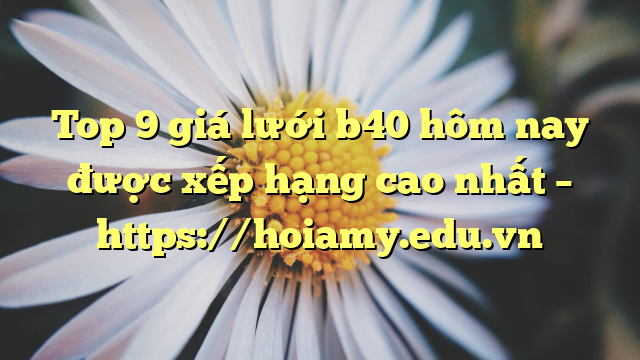 Top 9 Giá Lưới B40 Hôm Nay Được Xếp Hạng Cao Nhất – Https://Hoiamy.edu.vn