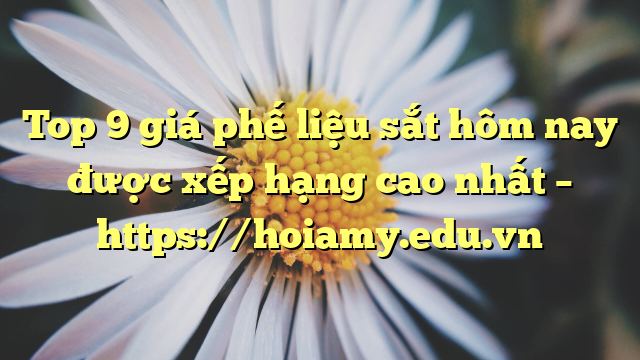 Top 9 Giá Phế Liệu Sắt Hôm Nay Được Xếp Hạng Cao Nhất – Https://Hoiamy.edu.vn
