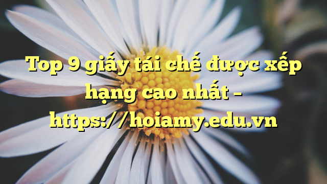 Top 9 Giấy Tái Chế Được Xếp Hạng Cao Nhất – Https://Hoiamy.edu.vn