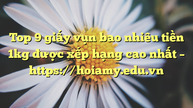 Top 9 Giấy Vụn Bao Nhiêu Tiền 1Kg Được Xếp Hạng Cao Nhất – Https://Hoiamy.edu.vn