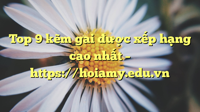 Top 9 Kẽm Gai Được Xếp Hạng Cao Nhất – Https://Hoiamy.edu.vn