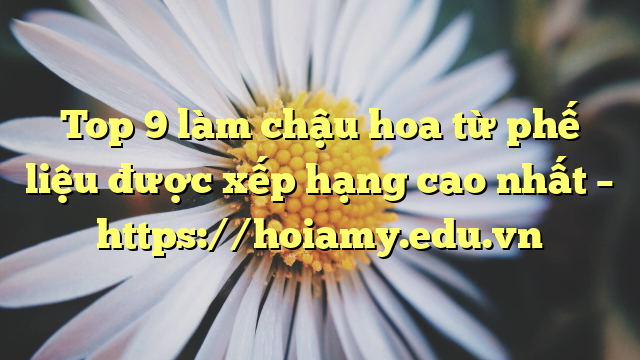 Top 9 Làm Chậu Hoa Từ Phế Liệu Được Xếp Hạng Cao Nhất – Https://Hoiamy.edu.vn