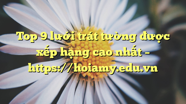 Top 9 Lưới Trát Tường Được Xếp Hạng Cao Nhất – Https://Hoiamy.edu.vn