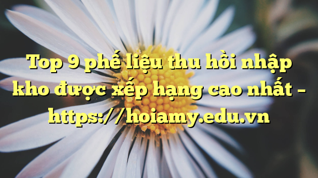 Top 9 Phế Liệu Thu Hồi Nhập Kho Được Xếp Hạng Cao Nhất – Https://Hoiamy.edu.vn