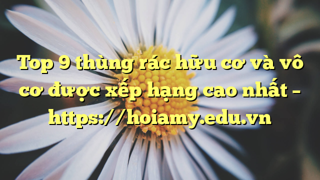 Top 9 Thùng Rác Hữu Cơ Và Vô Cơ Được Xếp Hạng Cao Nhất – Https://Hoiamy.edu.vn