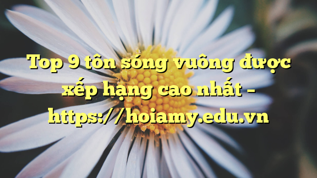Top 9 Tôn Sóng Vuông Được Xếp Hạng Cao Nhất – Https://Hoiamy.edu.vn