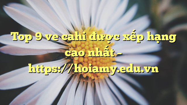 Top 9 Ve Cahi Được Xếp Hạng Cao Nhất – Https://Hoiamy.edu.vn