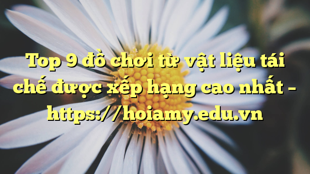 Top 9 Đồ Chơi Từ Vật Liệu Tái Chế Được Xếp Hạng Cao Nhất – Https://Hoiamy.edu.vn