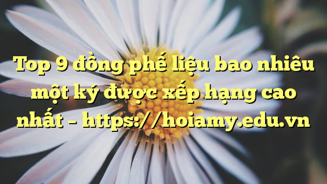Top 9 Đồng Phế Liệu Bao Nhiêu Một Ký Được Xếp Hạng Cao Nhất – Https://Hoiamy.edu.vn